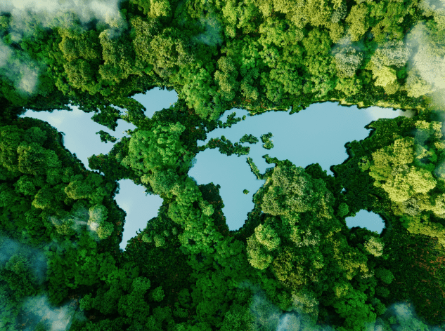 Imagem de floresta vista de cima formando um mapa mundi